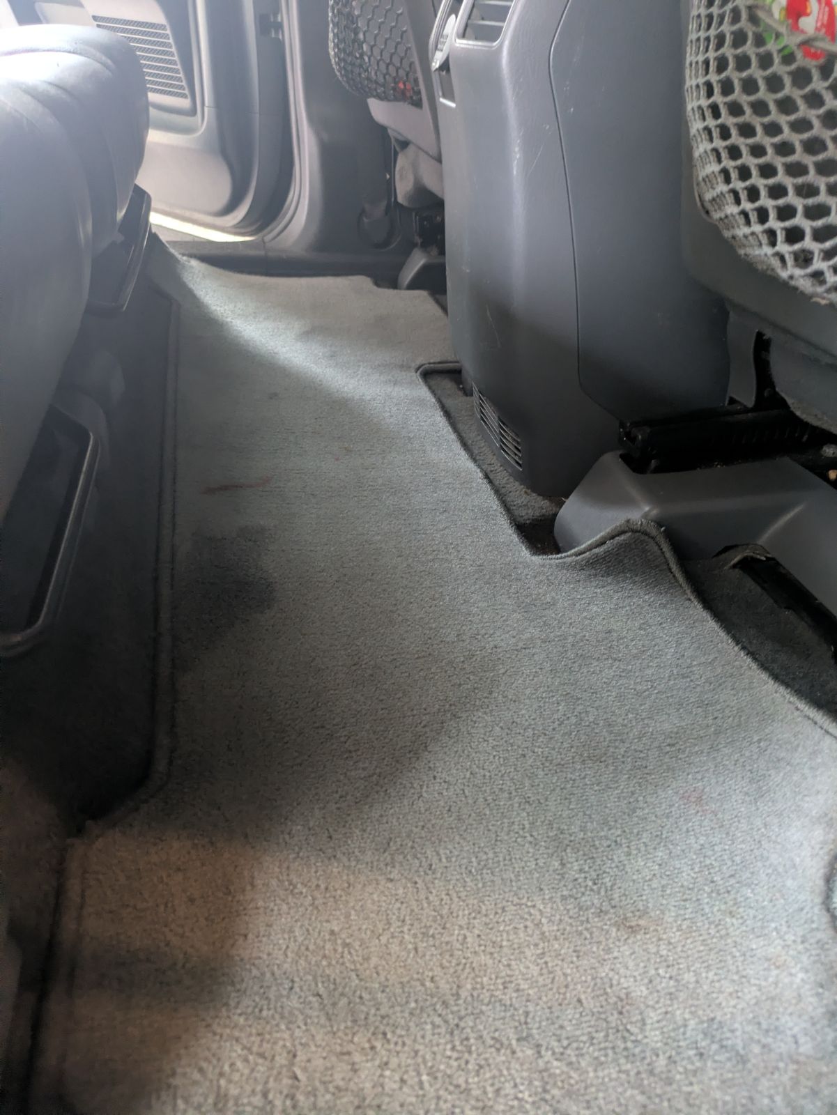 Freshly cleaned carpet